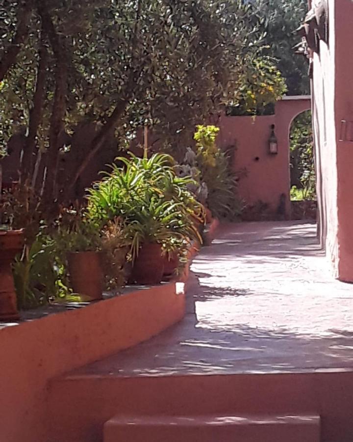 Auberge Le Mouflon Ouirgane Exterior foto