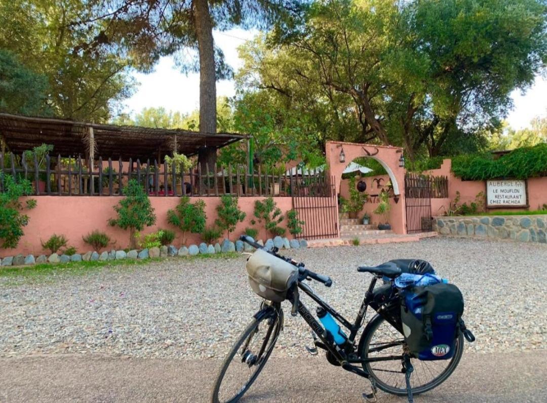 Auberge Le Mouflon Hotel Ouirgane Exterior foto